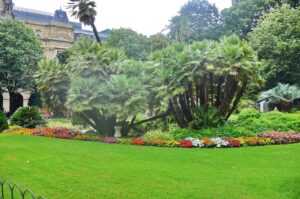 Comment optimiser la protection de votre jardin ?